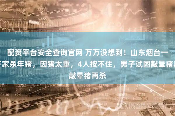 配资平台安全查询官网 万万没想到！山东烟台一男子家杀年猪，因猪太重，4人按不住，男子试图敲晕猪再杀