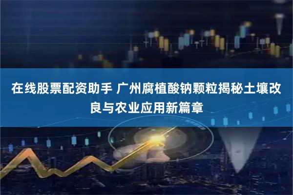 在线股票配资助手 广州腐植酸钠颗粒揭秘土壤改良与农业应用新篇章