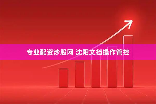 专业配资炒股网 沈阳文档操作管控